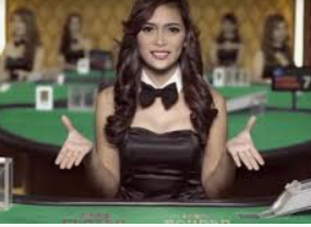 旺财28APP桌面版客户端